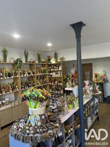 Divers Commerces à vendre 91 m² La Bourboule