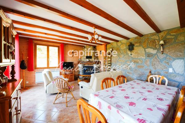 Maison d'exception 4 faces avec jardin arboré, source naturelle et vue panoramique sur les Pyrénées – Bolquère (66210)