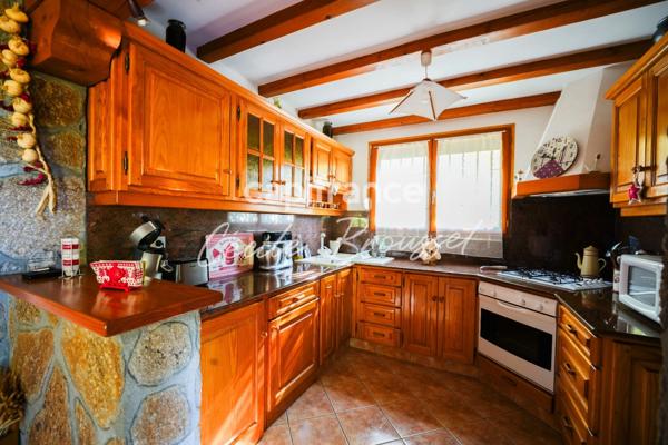 Maison d'exception 4 faces avec jardin arboré, source naturelle et vue panoramique sur les Pyrénées – Bolquère (66210)