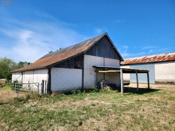 Achat - Maison La Flèche 72200 6 pièces 193 m 2 3000 m 2