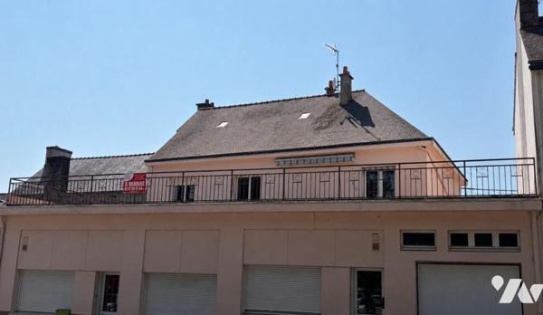 BAUD - RARE - Vaste appartement avec très grande terrasse hyper centre