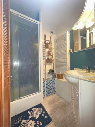 Appartement  31 m2 aperçu mer