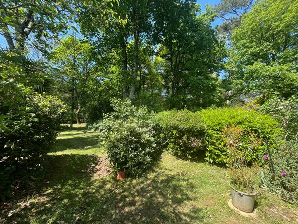 Maison à vendre à ARRADON 146m² à rénover sur terrain de plus de 4700m² avec studio