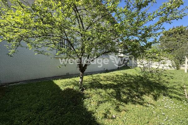 Maison à vendre 6 pièces de 159,04 m² à Cugnaux