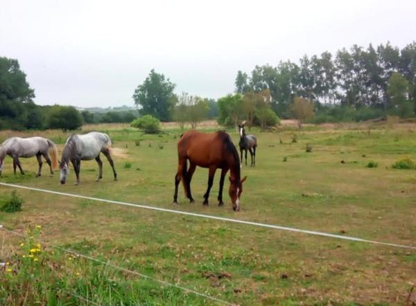 2 batiments  sur 6.3ha de patures