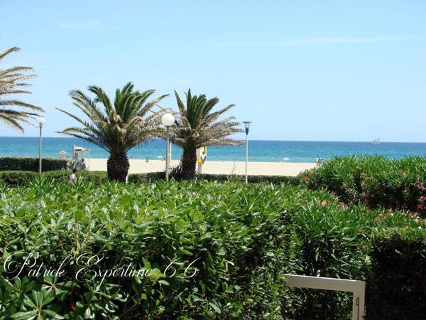 Canet-en-Roussillon (66140) Plage à 50 m - studio cabine avec parking - Canet-En-Roussillon (66)