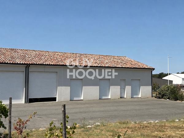 Bureaux Fronton