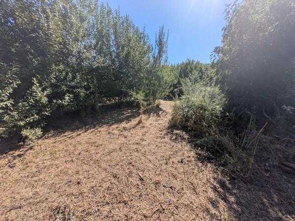 Achat - Maison | Maison de ville Esquelbecq 59470 4 pièces 95 m 2 541 m 2