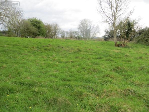Terrain à Batir à vendre à Saint-Pierre-Tarentaine dans le Calvados (14350), ref : 14076-5299