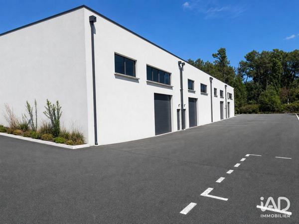 Location murs commerciaux  250 m² Montussan