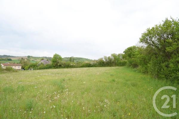 Terrain à vendre  2080 m 2   CUSSET  - 03