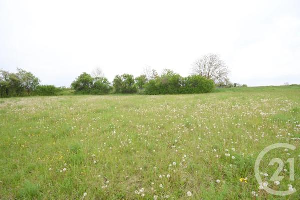 Terrain à vendre  2080 m 2   CUSSET  - 03