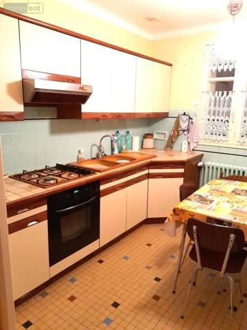 Achat - Maison Fleury-les-Aubrais 45400 4 pièces 98 m 2 634 m 2