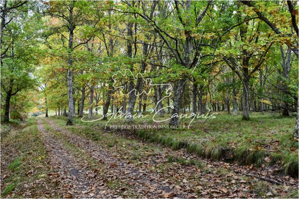 Domaine de Chasse et d'Agrément de 215 hectares en Sologne