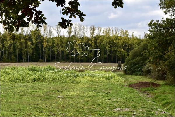 Domaine de Chasse et d'Agrément de 215 hectares en Sologne