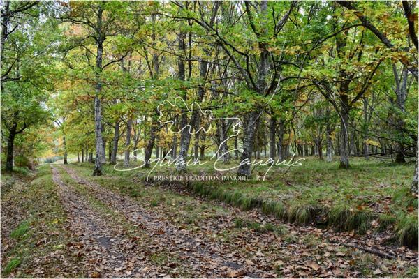 Domaine de Chasse et d'Agrément de 215 hectares en Sologne