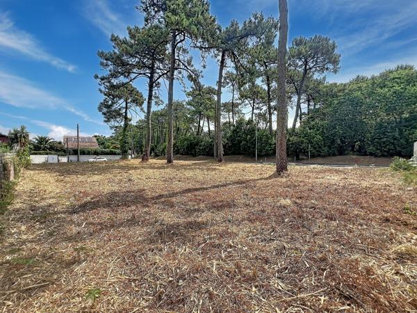 Terrain constructible à ANGLET (64600)