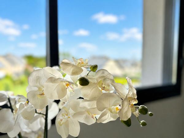 Maison contemporaine à vendre à Châteaugiron 131 m² 3 chambres Quartier calme