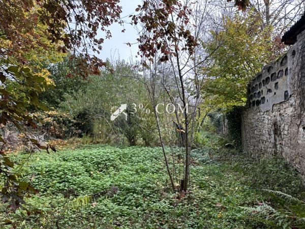 Ensemble immobilier de 500 m² composé de deux bâtiments MIRECOURT Mirecourt (88500)