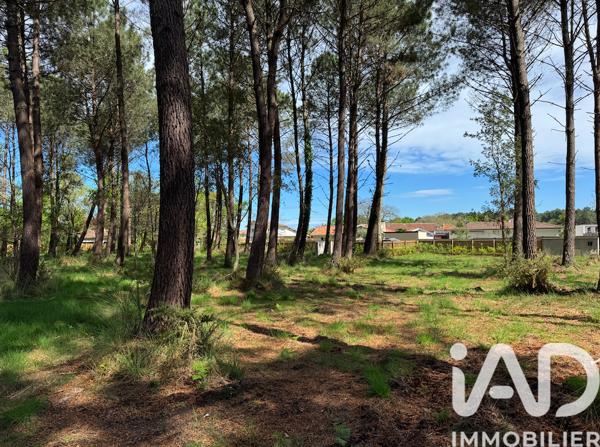 Terrain à vendre 950 m² Seignosse