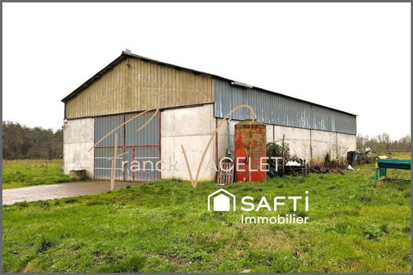 Opportunité Rare - 300 m² avec électricité dans un environnement privilégié