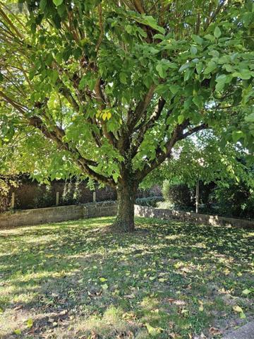 Maison individuelle à vendre à Bressuire dans les Deux-Sèvres (79300), ref : 79025- 301-79025