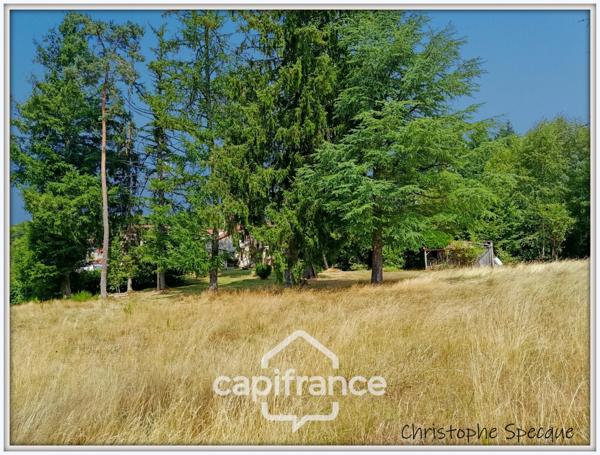 Maison à vendre 8 pièces, grand terrain, garage, PALLADUC (63)