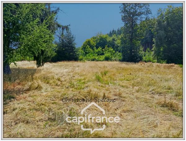 Maison à vendre 8 pièces, grand terrain, garage, PALLADUC (63)