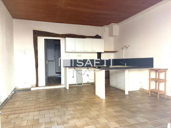 IMMEUBLE MITOYEN A RENOVER AVEC JARDIN ET GARAGE