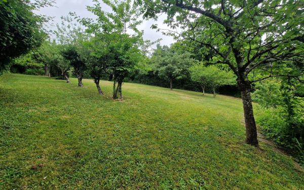 Maison à vendre    4 pièces •  Châtillon-sur-Cher