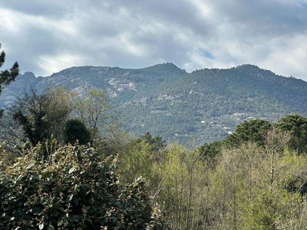 Charmante maison T3  avec piscine entre mer et montagne  - PORTO-VECCHIO 20137 - CORSE DU SUD