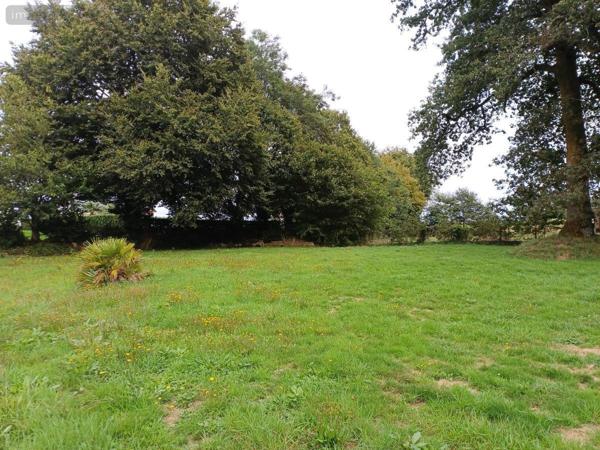Terrain à Batir à vendre à Plouay dans le Morbihan (56240), ref : 56032-1669