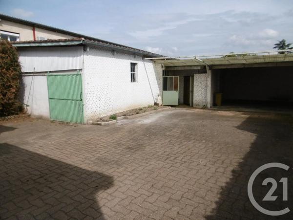 Immeuble à vendre  250 m 2   ALBI  - 81