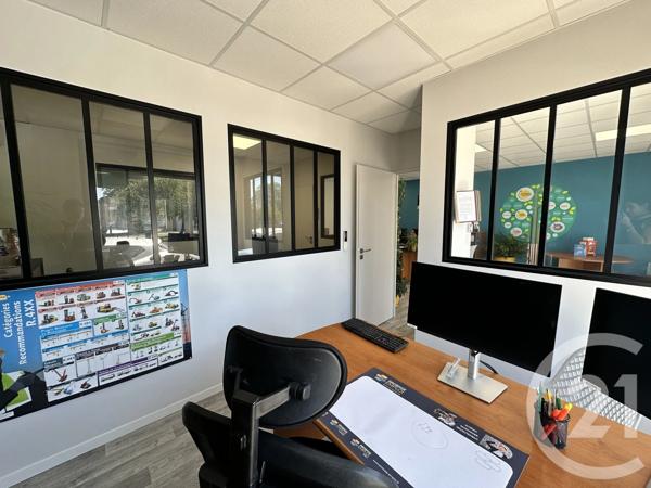 Immeuble à vendre  250 m 2   ALBI  - 81