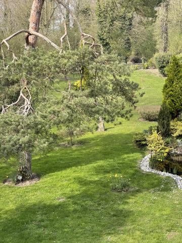 Demeure de Maître de 1930 : un domaine d’exception avec potentiel de rendement à prix ajusté