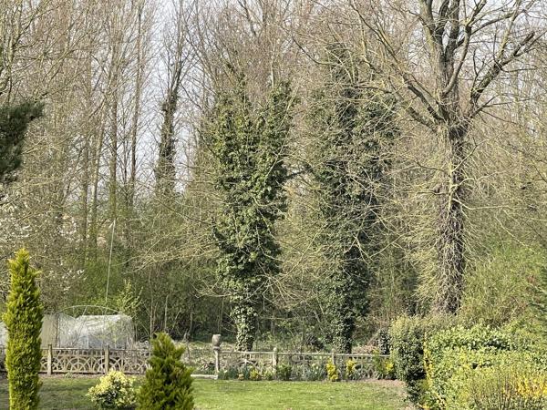 Demeure de Maître de 1930 : un domaine d’exception avec potentiel de rendement à prix ajusté