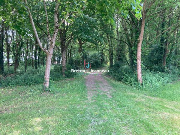 Propriété d'exception avec forêt, plan d'eau sur 8 ha secteur Villaines la Juhel