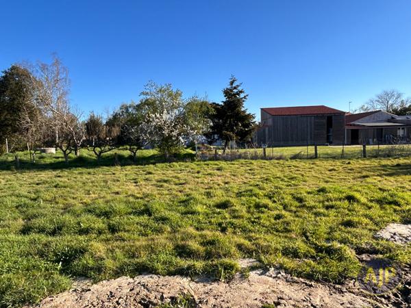 Vente terrain Talmont Saint Hilaire : 96 000 € - AJP Immobilier Les Sables-d'Olonne