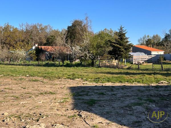 Vente terrain Talmont Saint Hilaire : 96 000 € - AJP Immobilier Les Sables-d'Olonne