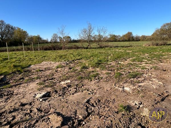 Vente terrain Talmont Saint Hilaire : 96 000 € - AJP Immobilier Les Sables-d'Olonne