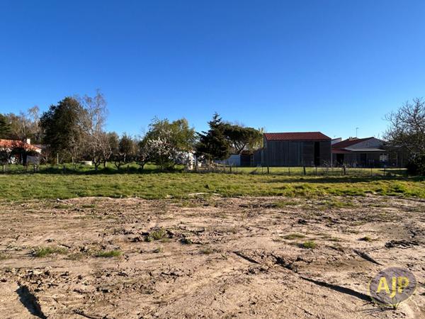 Vente terrain Talmont Saint Hilaire : 96 000 € - AJP Immobilier Les Sables-d'Olonne