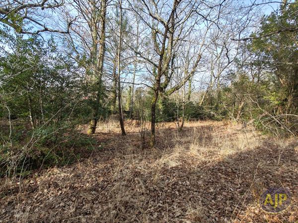 Vente terrain Le Teich : 508 800 € - AJP Immobilier Arcachon