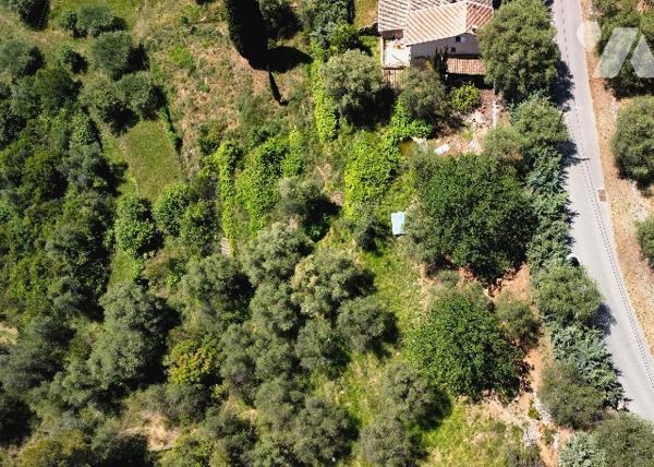 Arrière-pays niçois – Saint-Blaise
Maison mitoyenne à rénover sur un terrain d’environ 3 100 m²