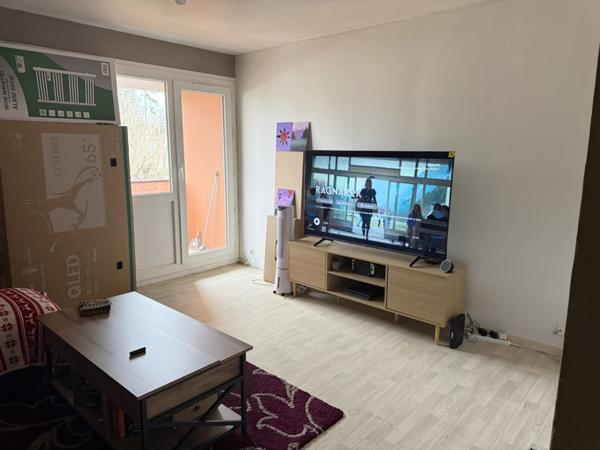 Appartement à SAINT JEAN DE BRAYE (45800)