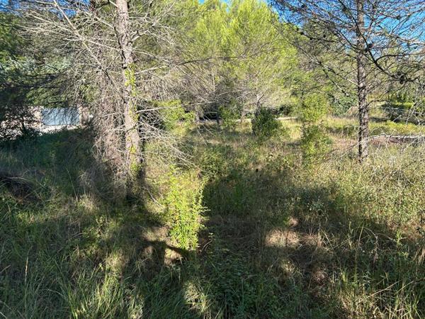 Terrain  1250 m2