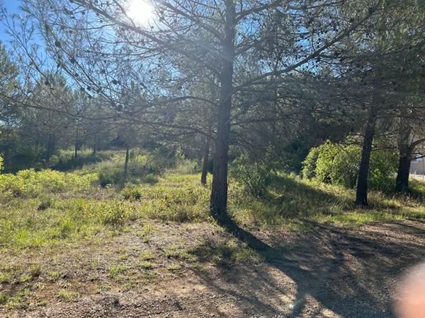 Terrain  1250 m2