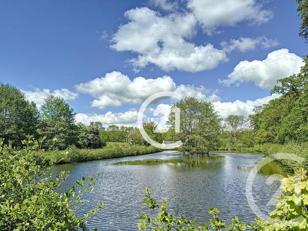 Maison à vendre  7 pièces - 253 m2 LONGVILLERS - 14