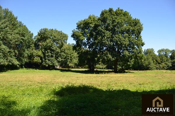 Manoir de caractère à Alençon ? 3,5 ha, fenêtres à meneaux, maison d'amis, 6 chambres , Alencon