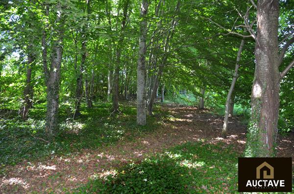 Manoir de caractère à Alençon ? 3,5 ha, fenêtres à meneaux, maison d'amis, 6 chambres , Alencon