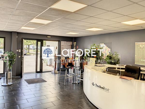Location local commercial Roncq - 721 m² - 6 250 €/mois